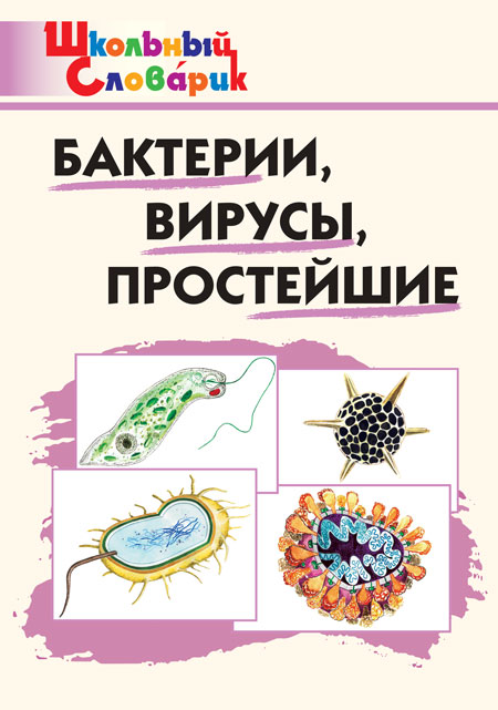 Бактерии, вирусы, простейшие Петрушина Е.C.