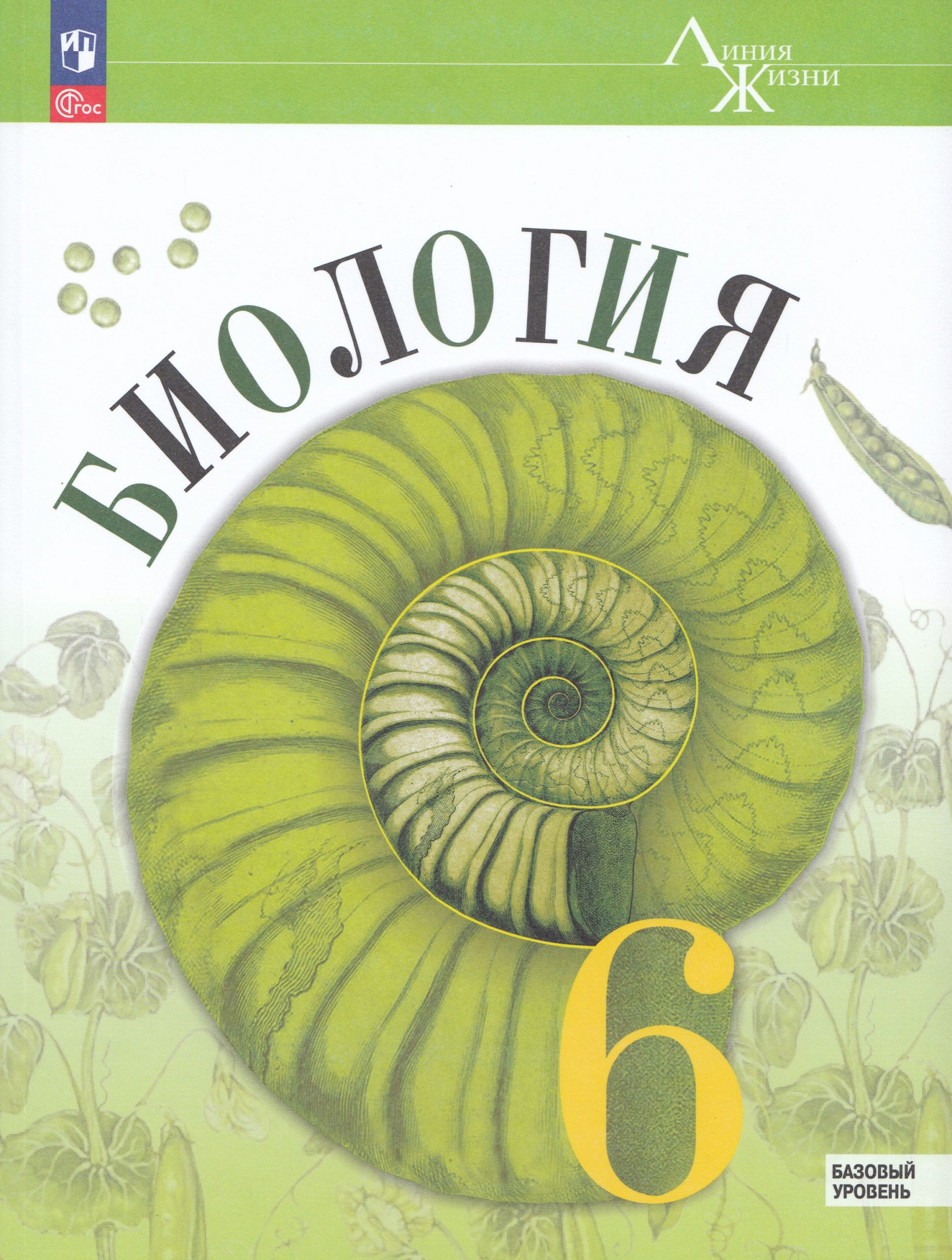 Биология. 6 класс. Учебник. Базовый уровень Пасечник В.В., Суматохин С.В., Гапонюк З.Г., Швецов Г.Г.