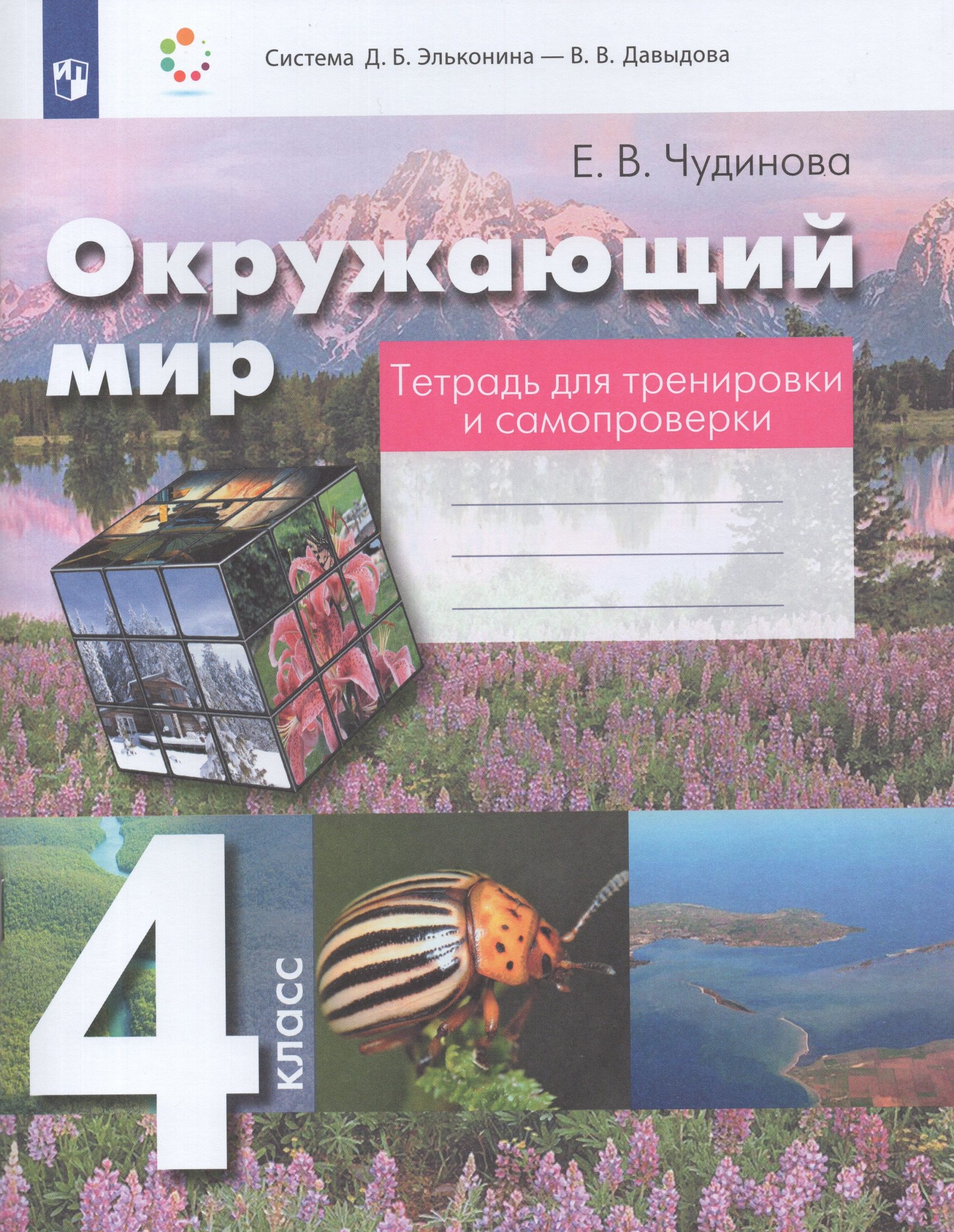 Окружающий мир. 4 класс. Тетрадь для тренировки и самопроверки Чудинова Е.В.