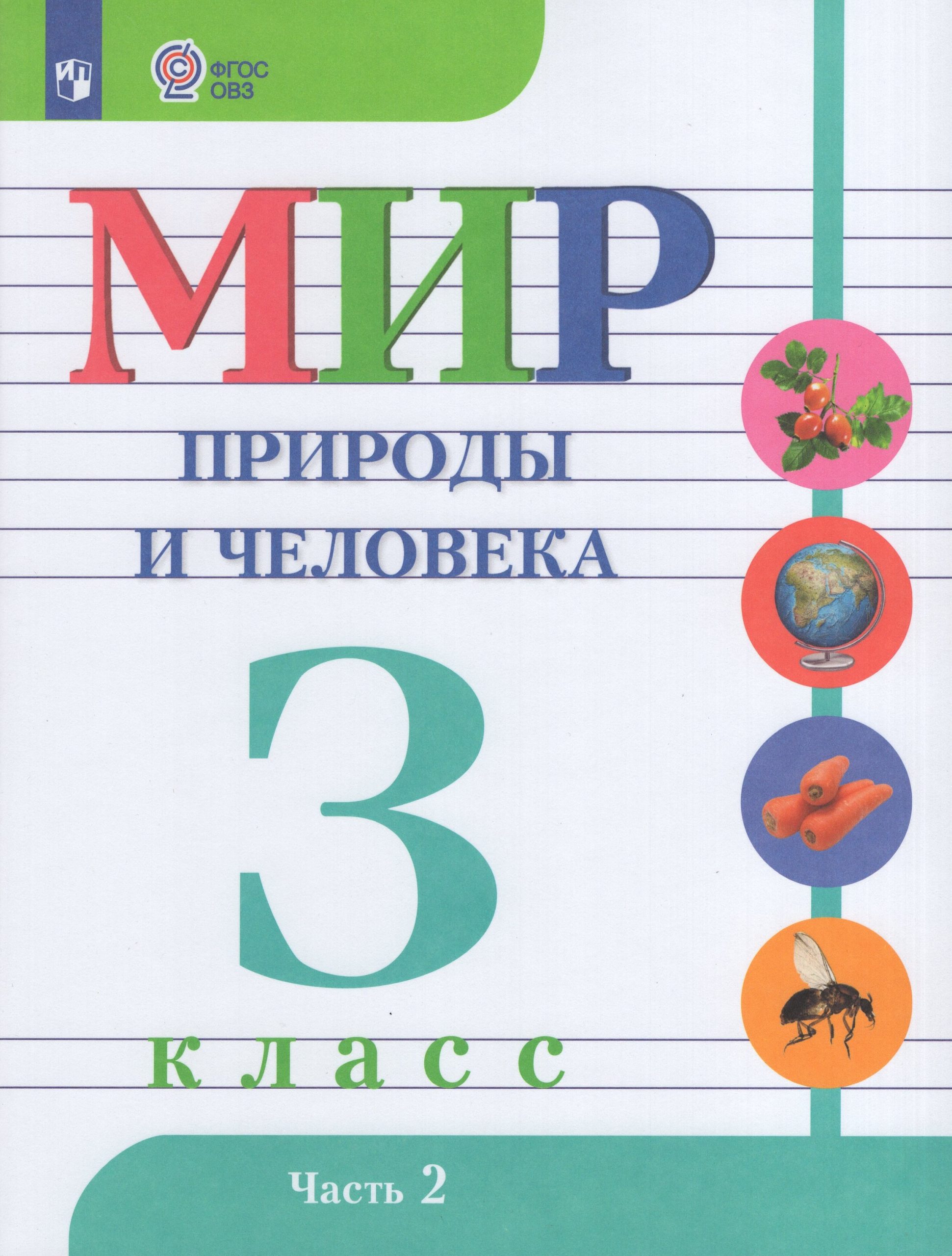 Мир природы и человека. 3 класс. Учебник для общеобразовательных организаций, реализующих адаптированные основные общеобразовательные программы. Часть 2 Матвеева Н.Б., Ярочкина И.А., Попова М.А., Куртова Т.О.