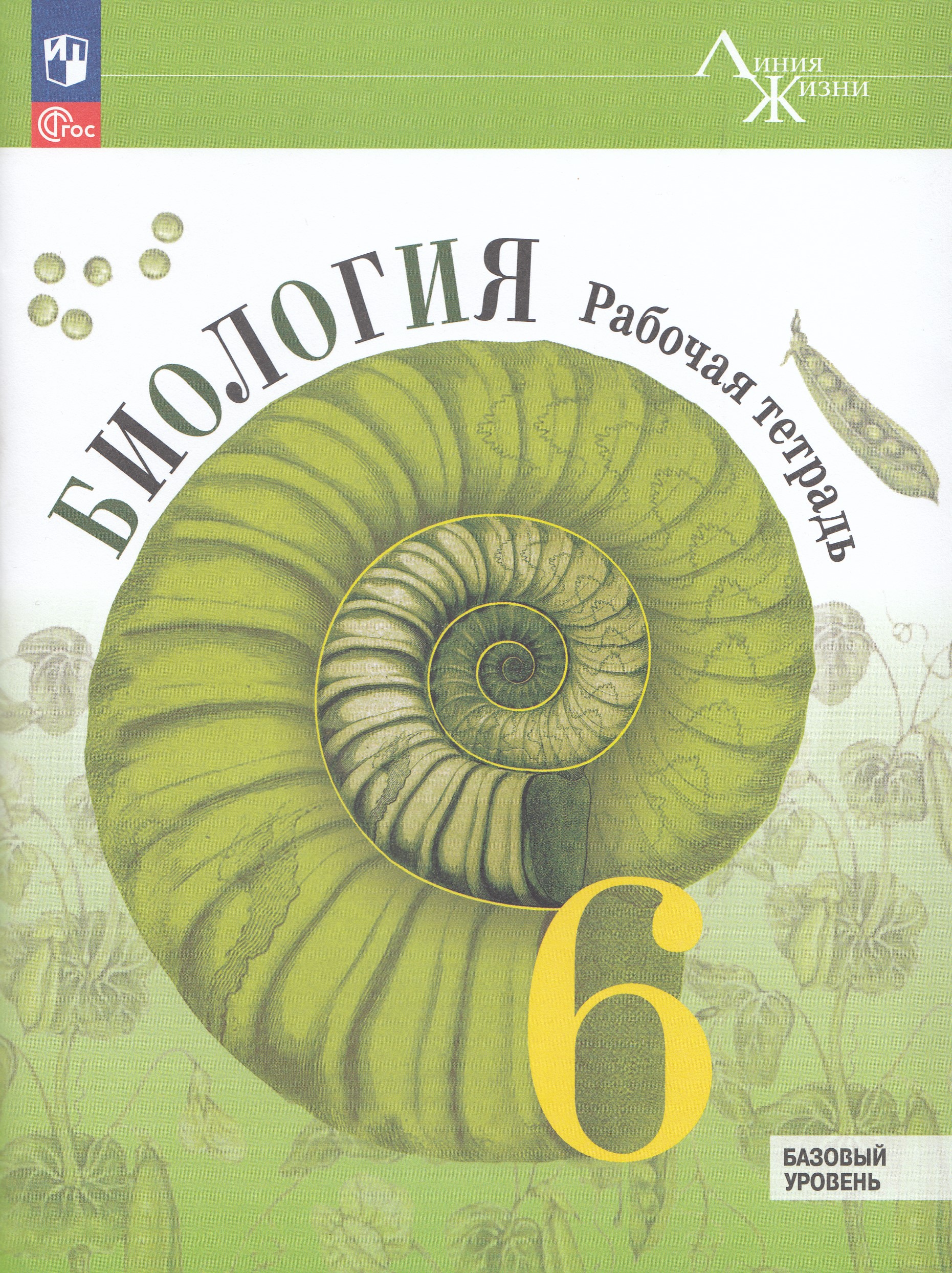 Биология. 6 класс. Рабочая тетрадь. Базовый уровень Пасечник В.В., Швецов Г.Г., Суматохин С.В., Гапонюк З.Г., Косарькова М.В.