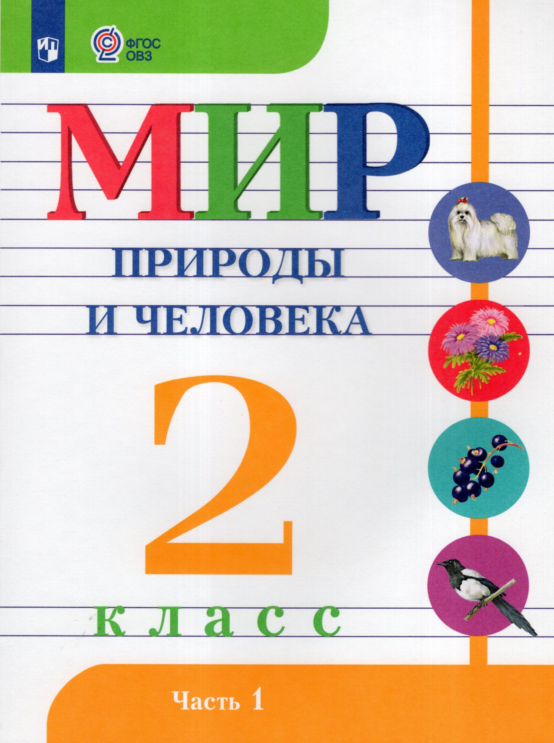 Мир природы и человека. 2 класс. Учебник. Часть 1. Для общеобразовательных организаций, реализующих адаптированные основные общеобразовательные программы Матвеева Н.Б., Ярочкина И.А., Попова М.А., Куртова Т.О.
