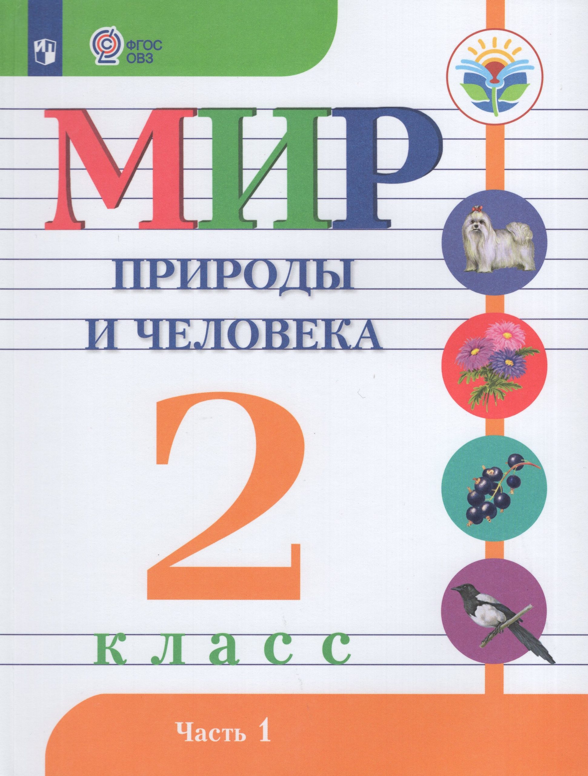 Мир природы и человека. 2 класс. Учебник. Часть 1. Для общеобразовательных организаций, реализующих адаптированные основные общеобразовательные программы Матвеева Н.Б., Ярочкина И.А., Куртова Т.О., Попова М.А.
