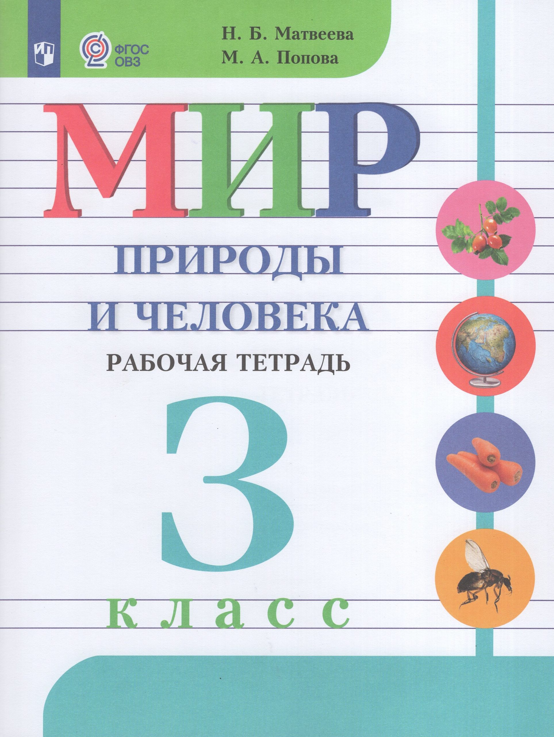 Мир природы и человека. 3 класс. Рабочая тетрадь. Учебное пособие для общеобразовательных организаций, реализующих адаптированные основные общеобразовательные программы Матвеева Н.Б., Попова М.А.