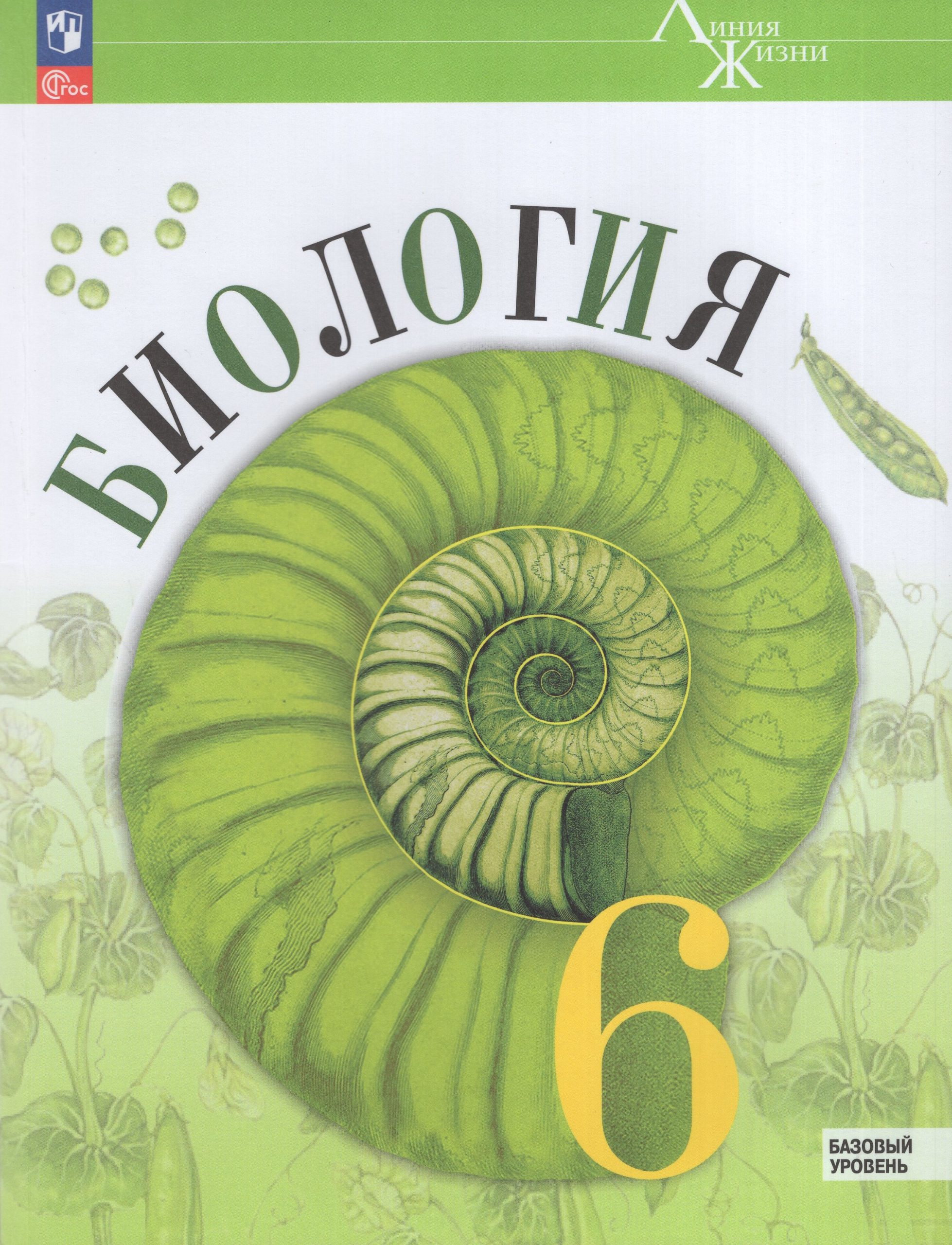 Биология. 6 класс. Учебник. Базовый уровень Пасечник В.В., Суматохин С.В., Гапонюк З.Г., Швецов Г.Г.